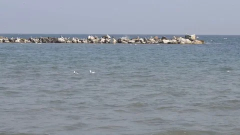 Beach in winter in the Adriatic Sea Stock Footage 96239036