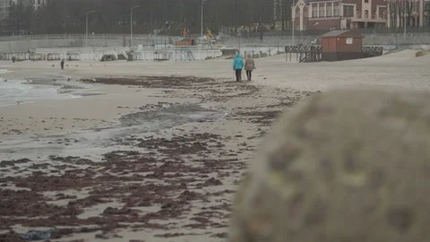 Beach in winter on the Baltic Sea Stock Footage 147347335