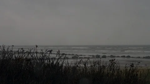 Beach In Winter Time Stock Footage 119873667