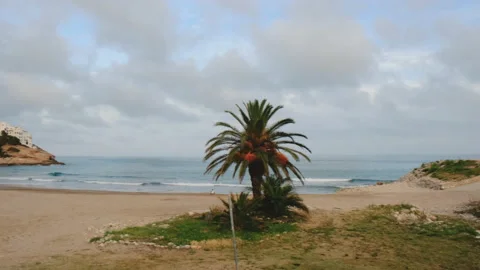 Beach without people Stock Footage 153225360