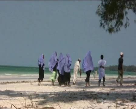 Beach of Zanzibar  Video stock 558766