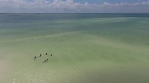 The beach of Zanzibar island Stock Footage 71243389