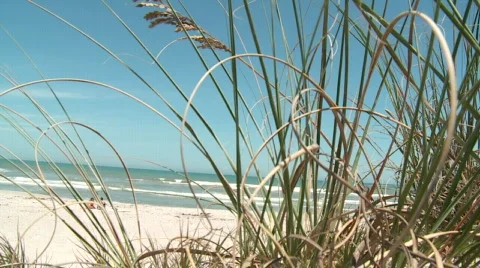 Beach1 Stock Footage 610020