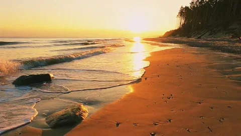 Beach1 Stock Footage 241447771