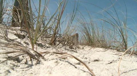 Beach2 Stock Footage 610041