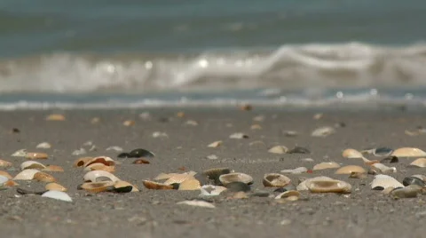 Beach3 Stock Footage 610047