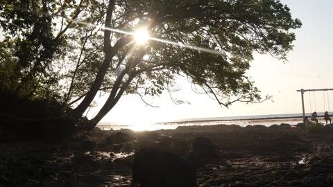 On the beach(3) Stock Footage 296729788