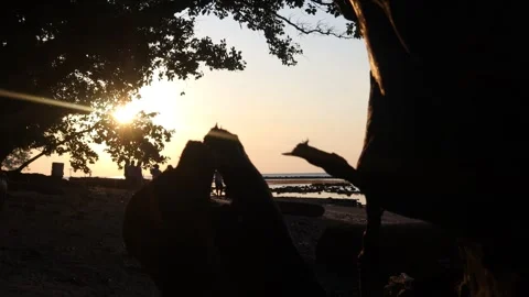 On the beach(3) Stock-Footage 296730569