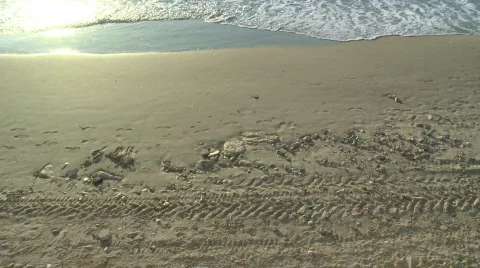 Beach42 Stock Footage 589230