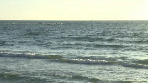 Beach49 Stock Footage 588364