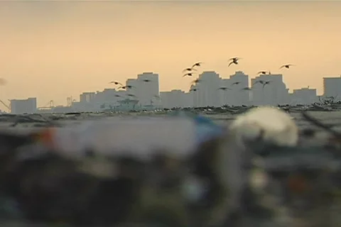 Beachcity-trash Stock-Footage 504908