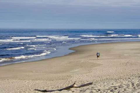 Beachcomber Stock Photos