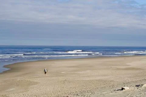 Beachcomber Stock Photos