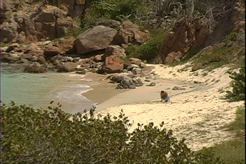 Beachcomber-zoom Видео 816415