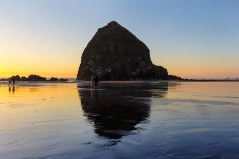 Beachcombers by Haystack Rock in Cannon Beach at sunset Fotos Stock