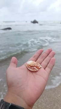 Beachcomber's Treasure Stock Photos