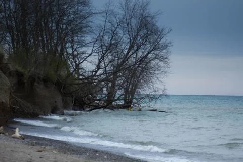 Beachcove Stock Photos