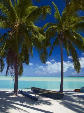 BEACHED OUTRIGGER BETWEEN COCONUT PALMS Stock Photos