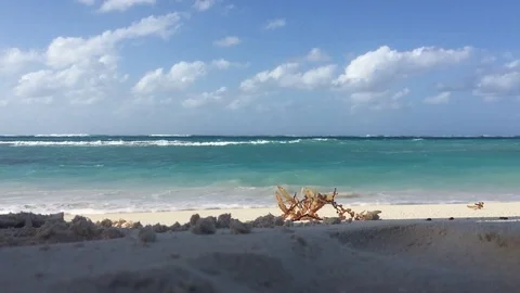 Beaches of Anguilla Stock Footage 116172700
