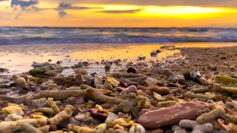 The beaches are crushed with coral shells that have been washed away from the Stock Footage 239178729