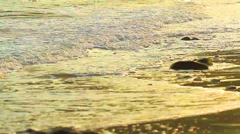 Beaches Stock Footage 23819025