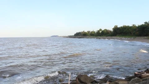 Beachfront and views of trees on the seafront  Stock Footage 260918855