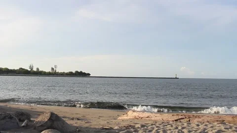 Beachfront and views of trees on the seafront  Stock Footage 260919186