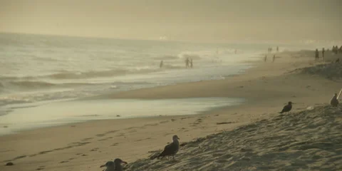 Beachfront Stock Footage 29907265