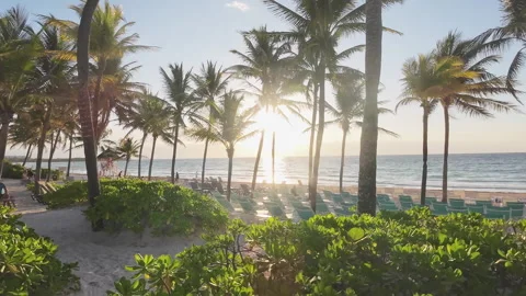 Beachfront garden and lounge area at sunrise sunset on tropical resort beach Stock Footage 328068835