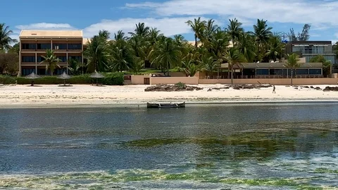 Beachfront hotel with palm trees Stock Footage 122663816
