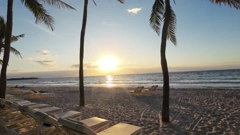Beachfront lounge chairs at sunrise sunset on tropical resort beach Stock Footage 328068799