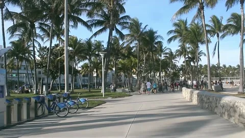 Beachfront Park in Miami Beach Stock Footage 257980977