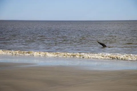 Beachfront Stock Photos