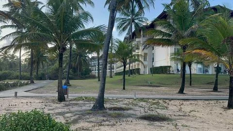 Beachfront resort with palm trees Stock Photos