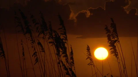 Beachfront Sunset on Florida Gulf Coast Stock Footage 167396649
