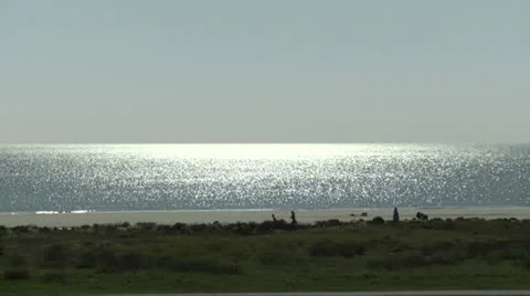 Beachfront View - HD 720 스톡 동영상 12270798