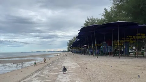 Beachfront view summer time blue sky ocean view. People relaxing outdoor. Stock Footage 252161390