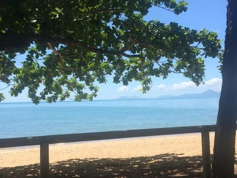 Beachfront View with Tree Canopy Foto stock