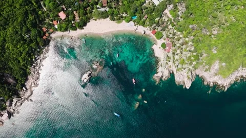 Beachfront view with turquoise waters and lush greenery. Tanote Bay. Koh Tao Stock Footage 342512451