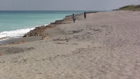 Beachgoers Stock Footage 88972451