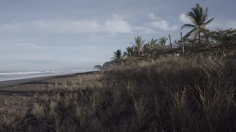 BEACHGRASS | AERIAL, EXT, WIDE, TRACKING FORWARD | 2398 | 4K Stock Footage 105193396