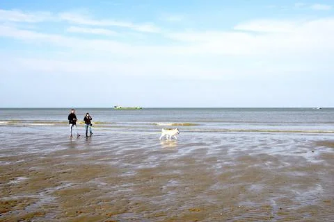 Beachlife Stock Photos