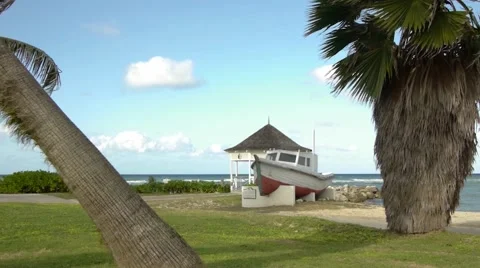 Beachscape with beached boat, palm trees Stock Footage 46953254