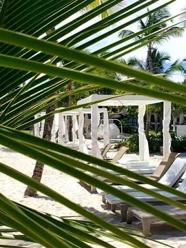 Beachside cabanas surrounded by palm trees create a peaceful retreat on san.. Stock Photos