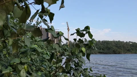 Beachside construction site Stock Footage 143943464