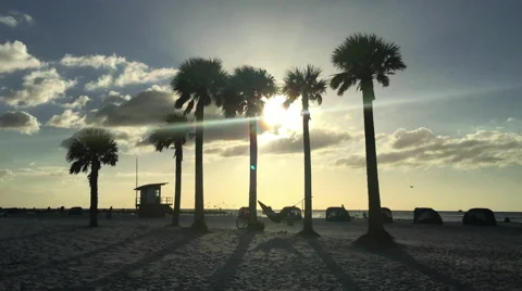 Beachside Hammock 4K Vídeo Stock 58492209