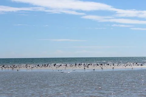 Beachside on Key Biscayne Stock Photos