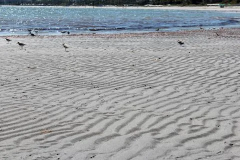Beachside on Key Biscayne Stock Photos