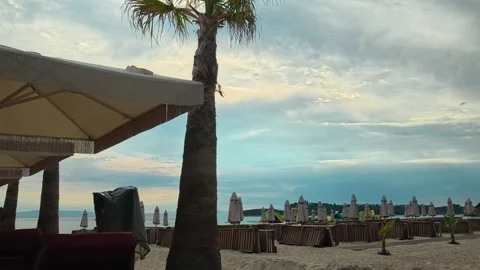 Beachside lounge with palm tree and closed umbrellas. Trani Ammouda, Greece Stock Footage 339616300