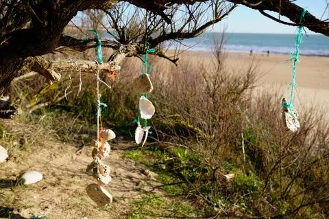 Beachside nature mobile hanging seashells with fishing nets and driftwood c.. Stock Photos